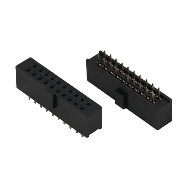 DS1023-02-2X10S21