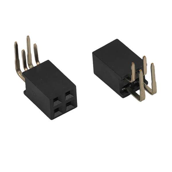 DS1024-2X2RF1