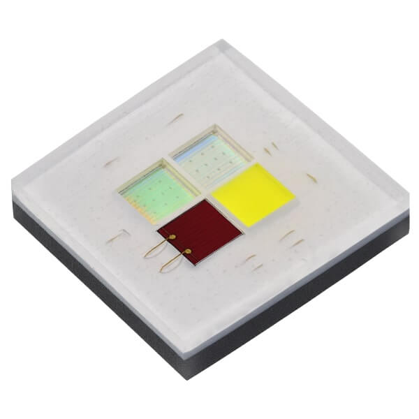 XMLDCL-00-0000-00C4AAAE5